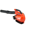Echo DPB-600 Cordless Leaf Blower