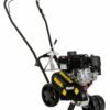 Masport Lawn Mower EDGER Petrol
