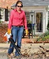 Stihl Leaf Blowers / Vacuum Shredders